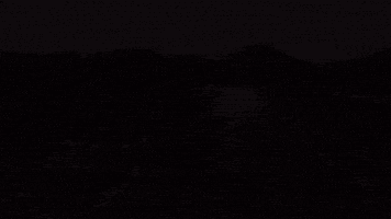 Dragon Boat Festival GIF