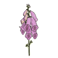 Flower Sticker by Increase Creativity