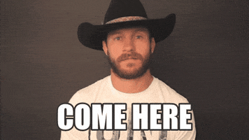 Come Here Ufc 205 GIF by UFC