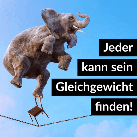 labemi elephant balance awareness elefant GIF