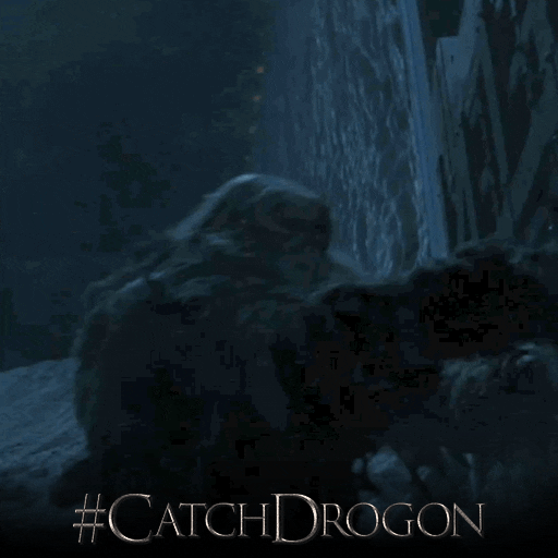 game of thrones hbo GIF by Catch Drogon