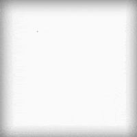 kevin clancy kfc barstool GIF by Barstool Sports