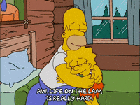 Happy Lisa Simpson GIF by The Simpsons