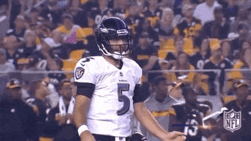 2018 Nfl Football GIF by NFL