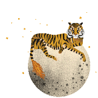 Fire Stars Sticker by efectoperfecto