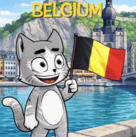 Europe Belgium GIF by Hero Galaxy NFT