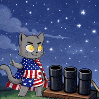 Independence Day Usa GIF by Hero Galaxy NFT
