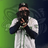 GoStripers webb gwinnett stripers glove down GIF