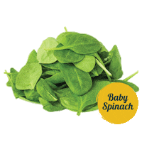 Spinach Sticker by tadafreshmarket