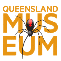 Redback Spider Sticker by Queensland Museum Network