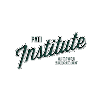 Summer Camp Education Sticker by Pali Institute