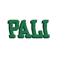 PaliInstitute summer camp pali pali adventures pali camp Sticker