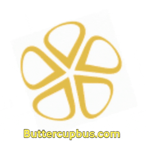 ButtercupBus giphygifmaker buttercupbus GIF