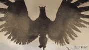 Flying Video Game GIF by CAPCOM