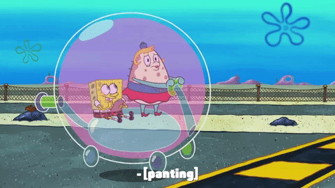 season 10 episode 6 GIF by SpongeBob SquarePants