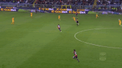geona goranpandev GIF by nss sports