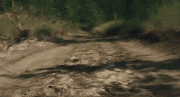 Music Video Running GIF by Peach Pit