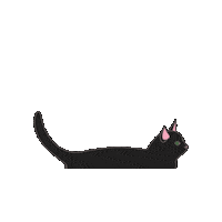 Cat Party Sticker by wwwe GmbH
