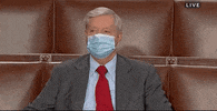 Lindsey Graham GIF by GIPHY News
