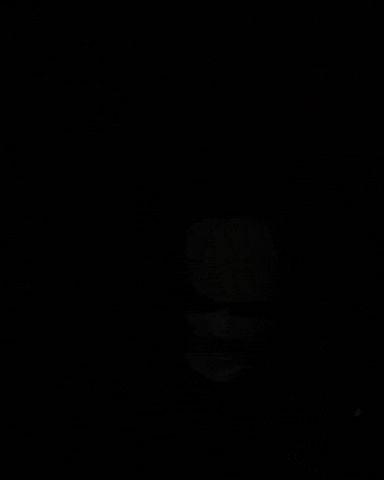 Lethal GIF