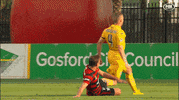 wswanderersfc football celebration goal wanderers GIF