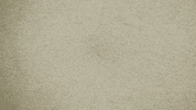 infinity eating GIF by Chipotle Mexican Grill