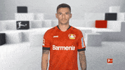Bayer 04 Yes GIF by Bundesliga
