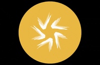 Usj GIF by Universidad San Jorge