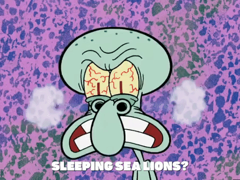 season 4 the pink purloiner GIF by SpongeBob SquarePants