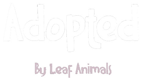 Adoption Adopt Sticker by Amina