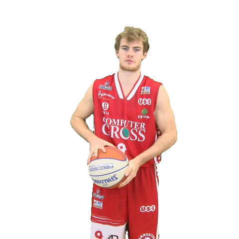 Basketball Sticker by Use Basket
