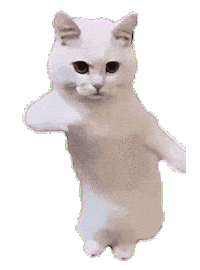 Cat Dancing Pjmedia Sticker