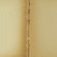 pablodelfini  GIF