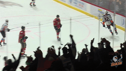 Excited National Hockey League GIF by San Diego Gulls