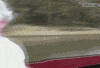 grandpa fail GIF