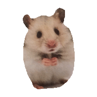 hamster STICKER by imoji