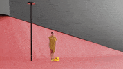 photography no GIF by HuffPost
