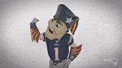 Football Flexing GIF by New England Patriots