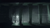 Destiny 2 GIF by DestinyTheGame