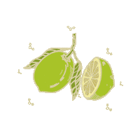 lemon nanovetor Sticker by Quintal Dermocosméticos