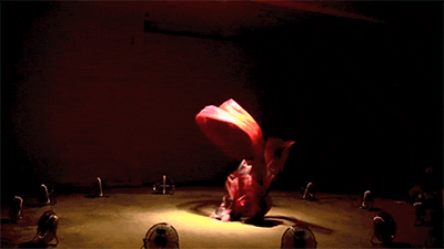 dancin GIF by Digg
