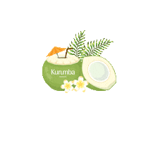 kurumbamaldives drink holiday vacation island Sticker
