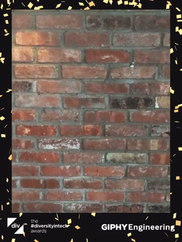 diversityintech GIF by divawards