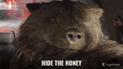 LegalShield bear drinking drunk honey GIF