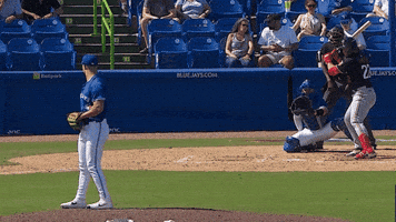 Blue Jays Baseball GIF by Toronto Blue Jays