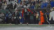 Nfl Pats GIF by New England Patriots
