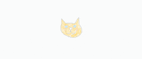 blinuet cat gato meow blinuet GIF