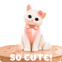 Happy Flower Petals Sticker