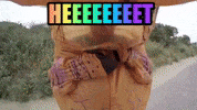 zomerkampzwijndrecht dino warm oven warmte GIF