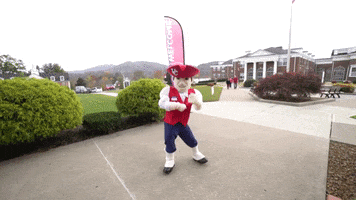 Pete Go Pats GIF by University of the Cumberlands
